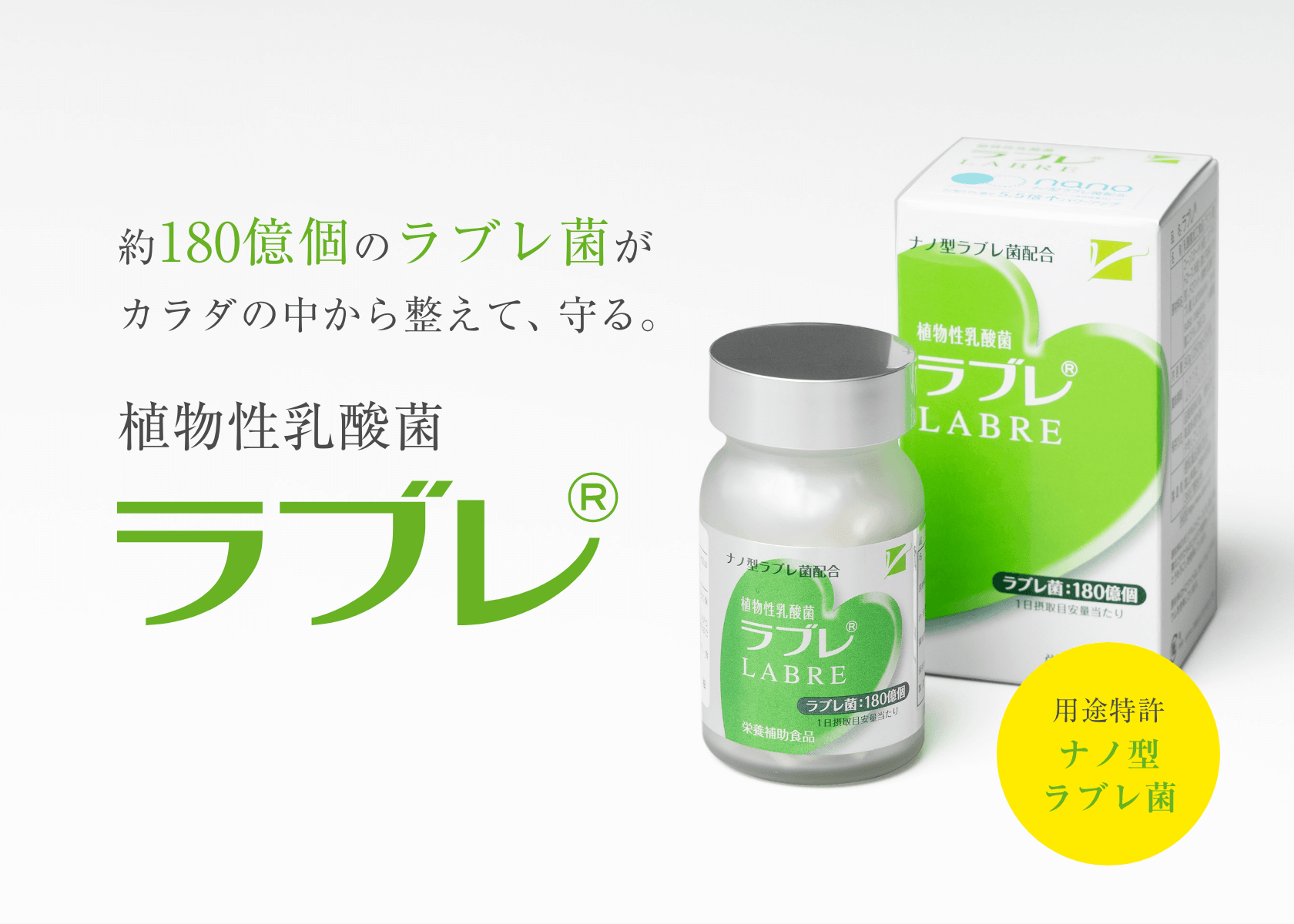 トップページ