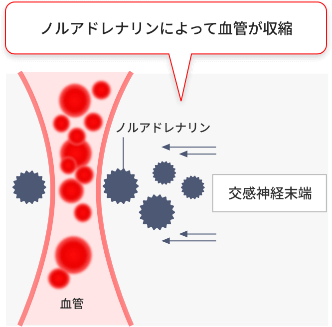 ノルアドレナリンによって血管が収縮